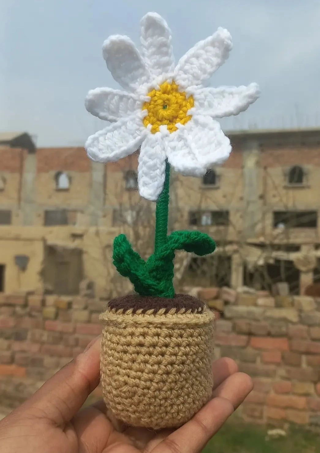 Mini daisy pot