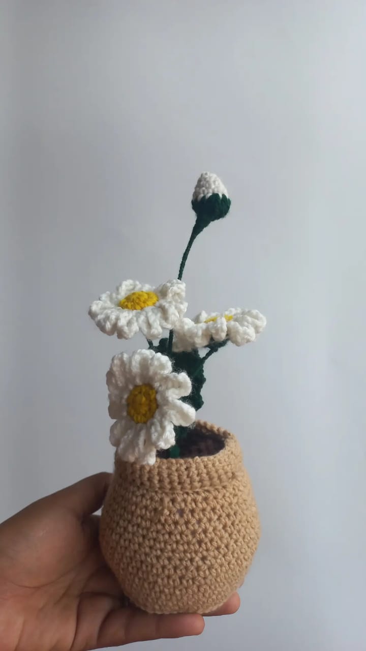 Crochet Daisy Pot