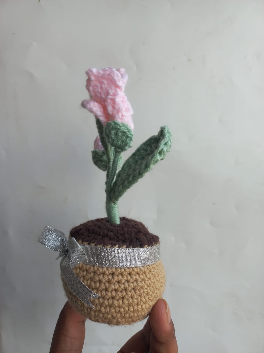 Blush Fressia Pot