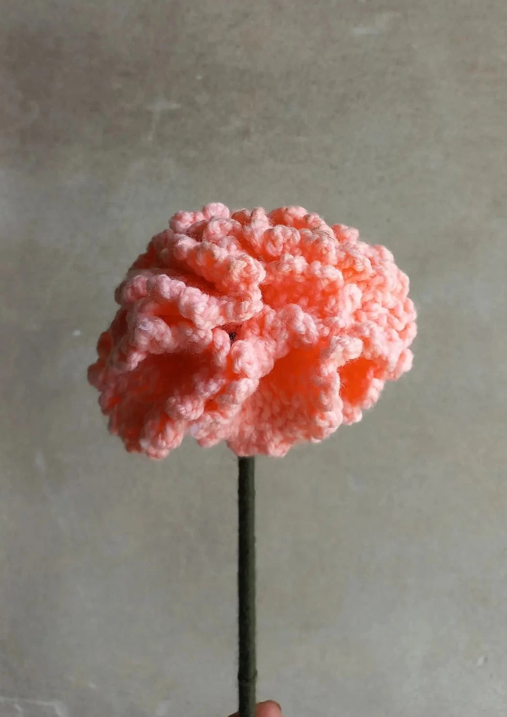 Carnation flower stem