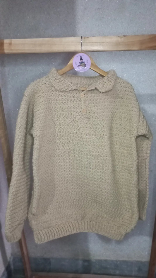 Beige Collared pullover/Jumper