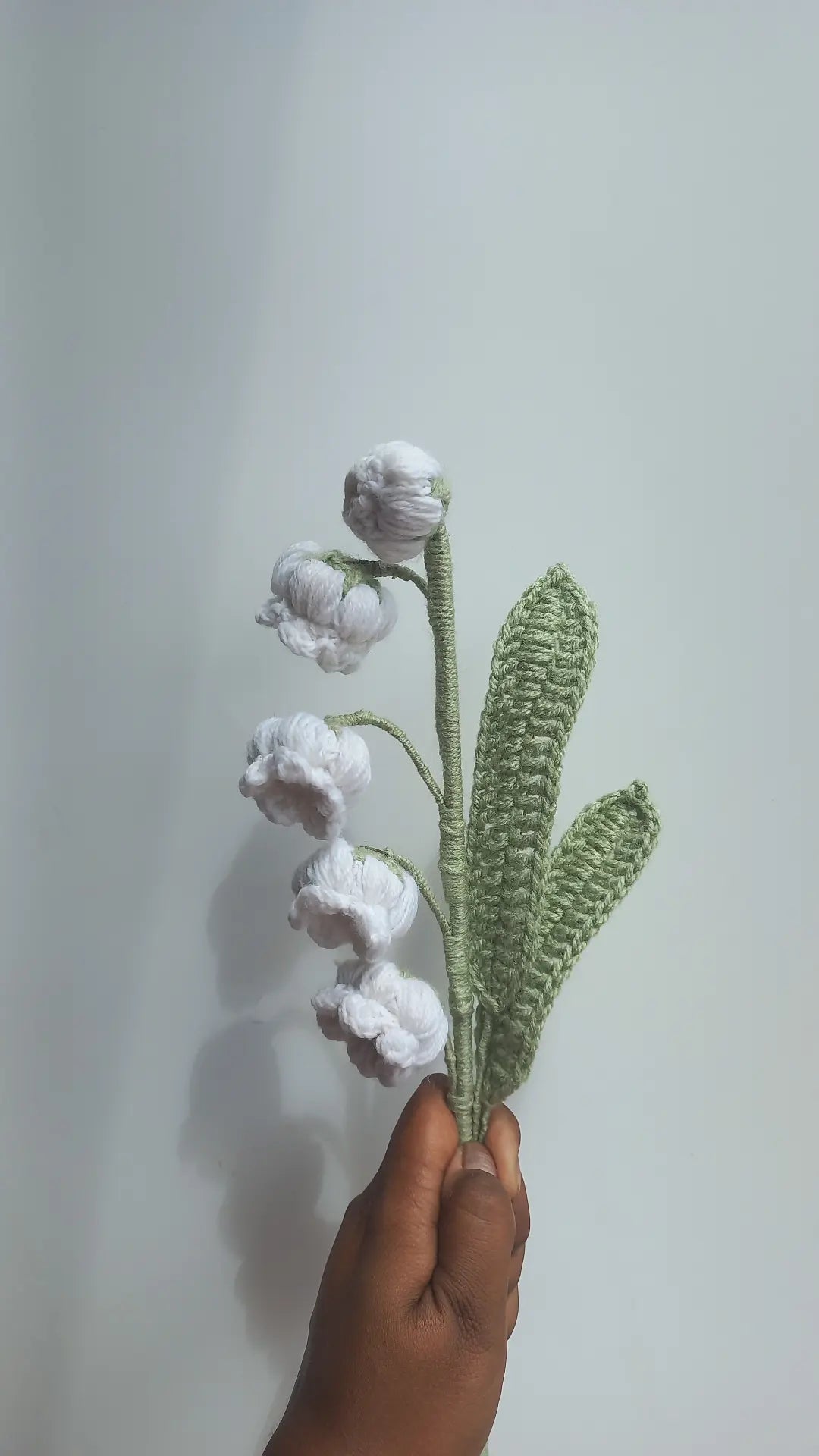 Lilly of valley stem