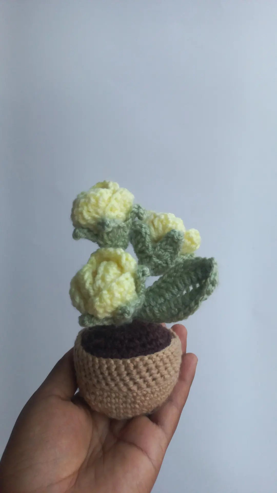 Lemon rose pot
