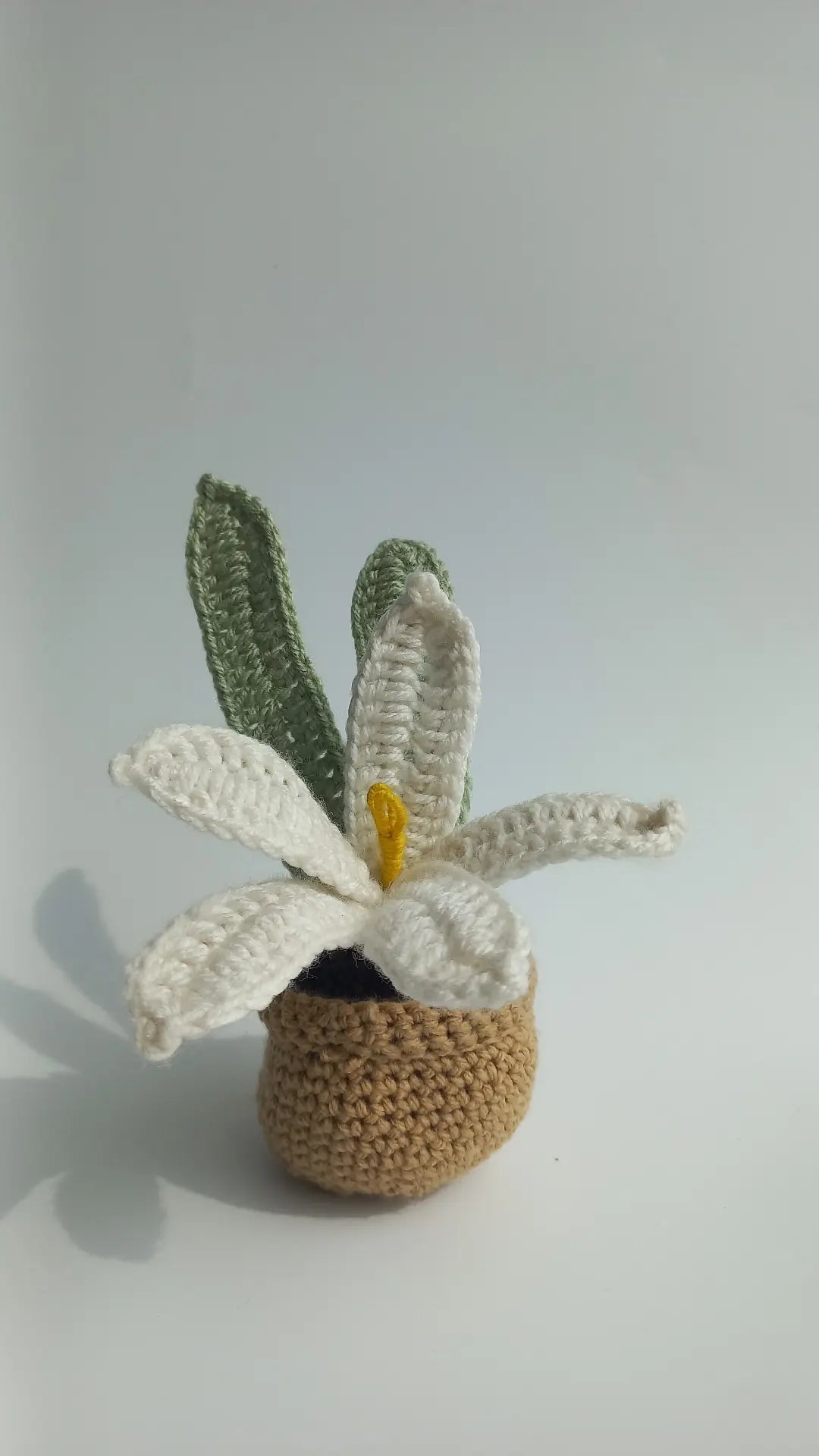 Water Lilly pot