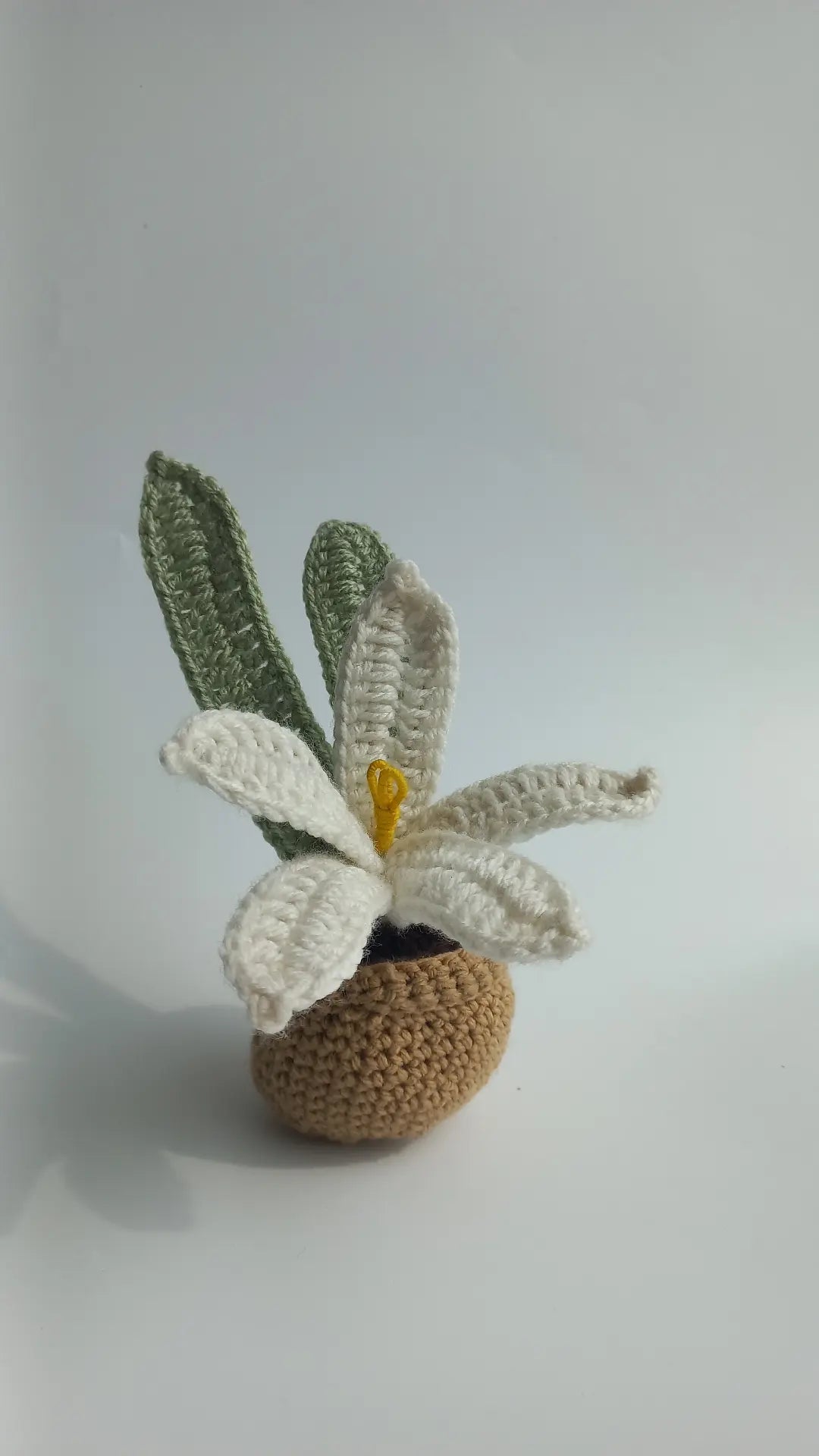 Water Lilly pot