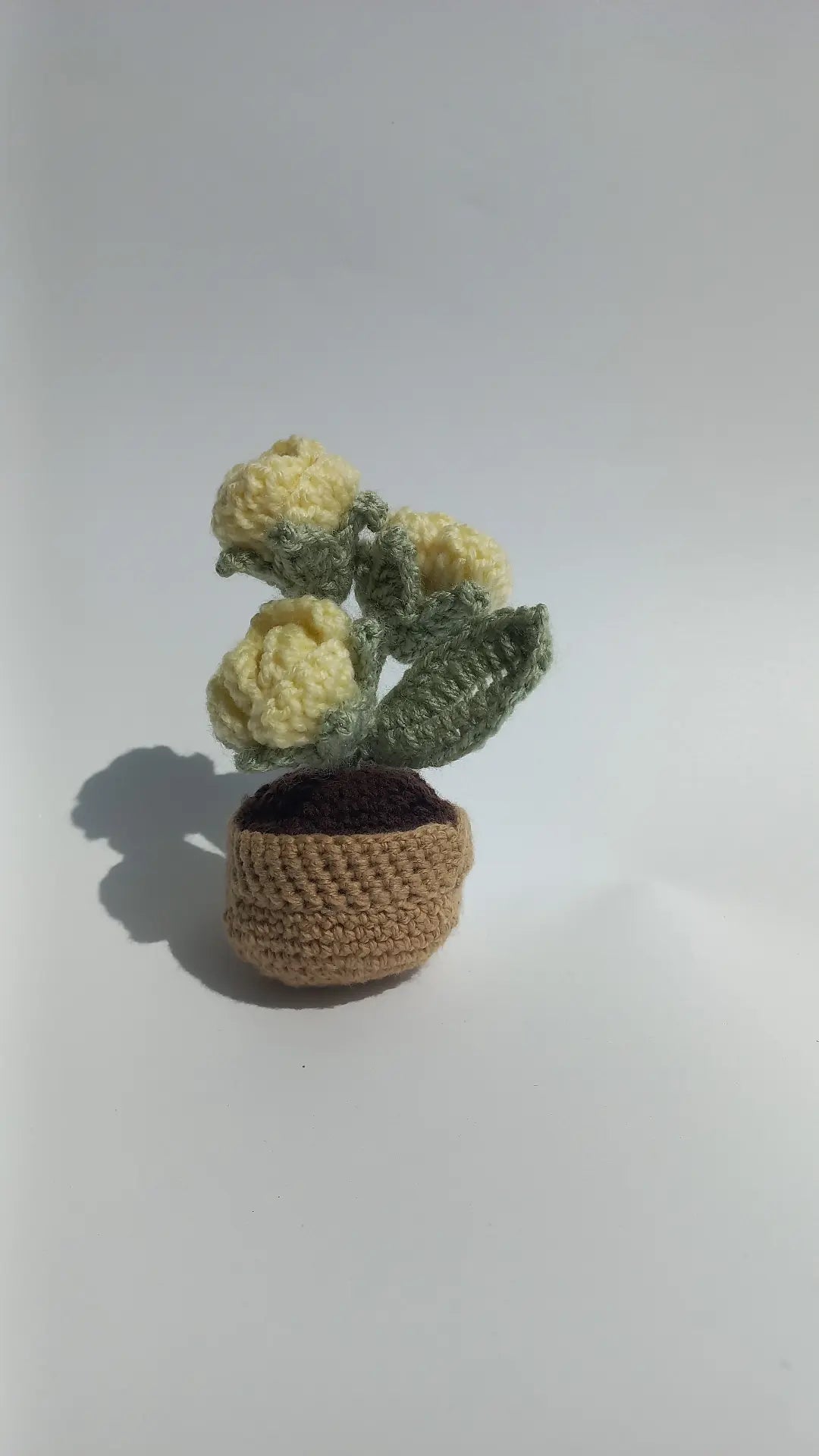 Lemon rose pot