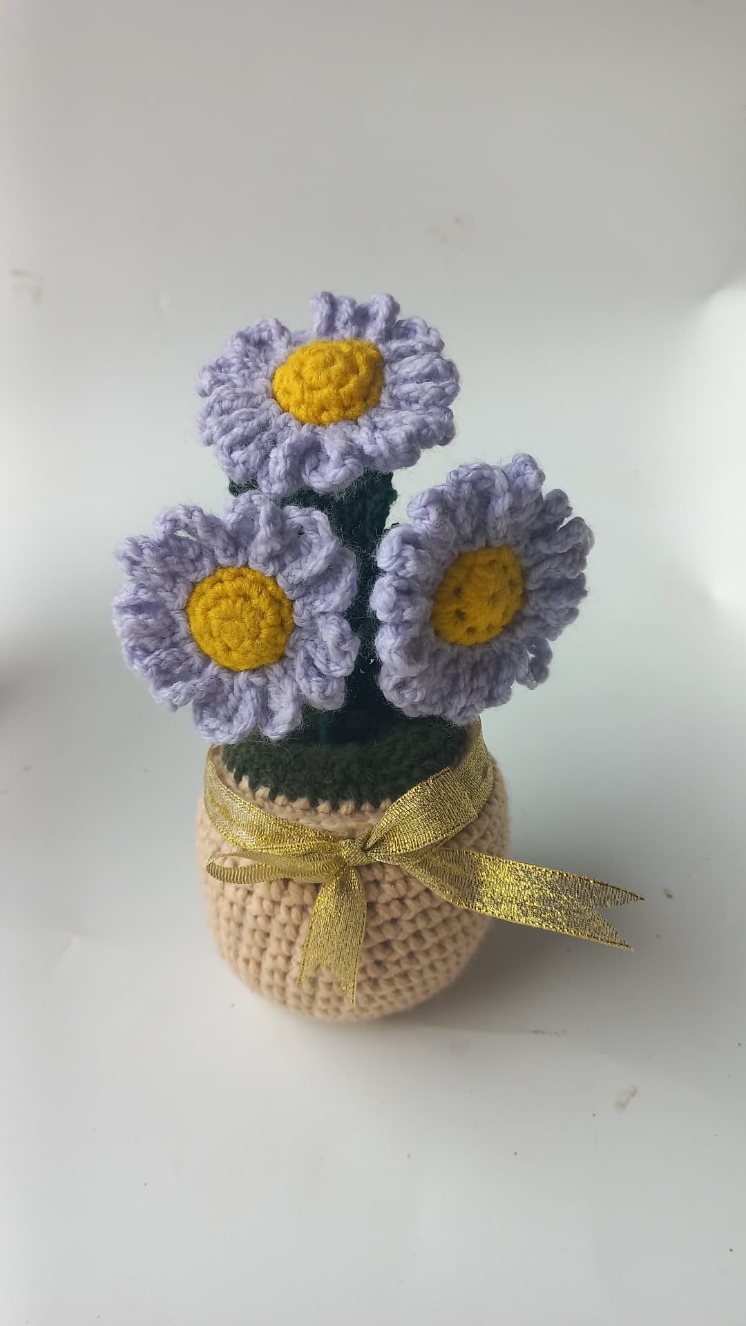 Lavender daisy pot