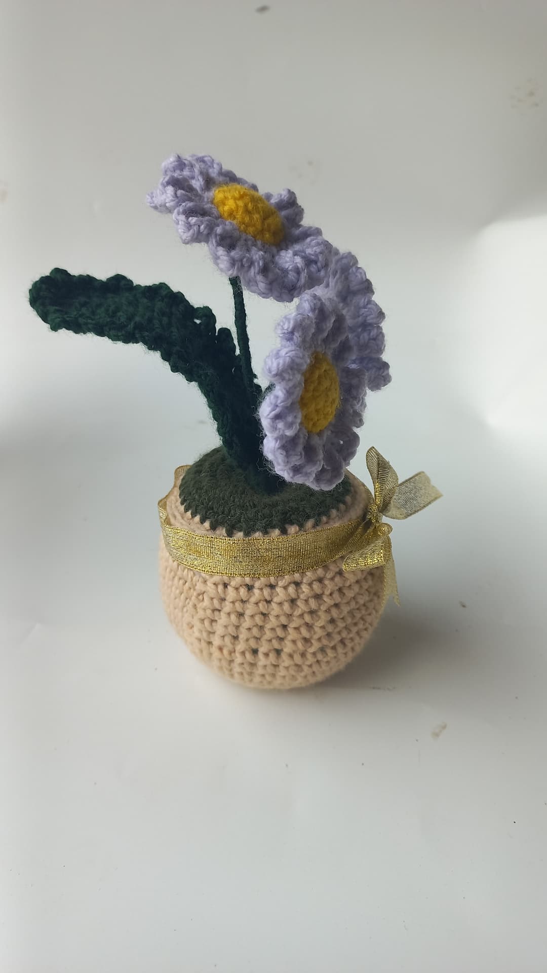 Lavender daisy pot