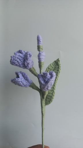 Fressia stem