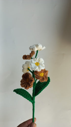Forget me not bunch