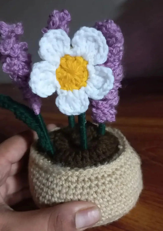 Lavender & daisy pot