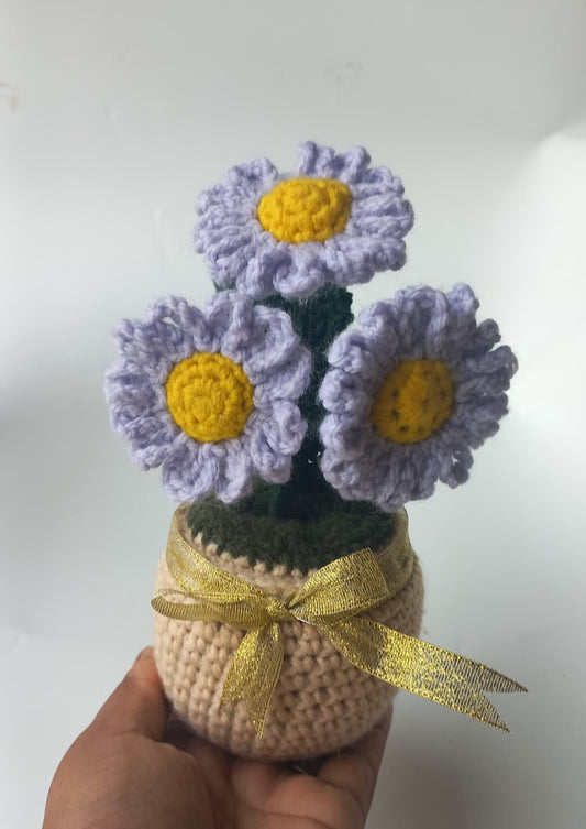 Lavender daisy pot
