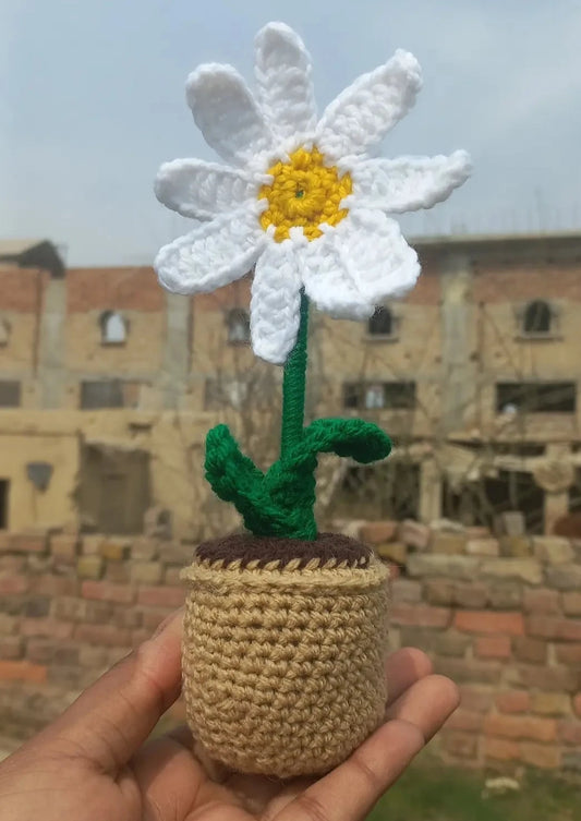 Mini daisy pot