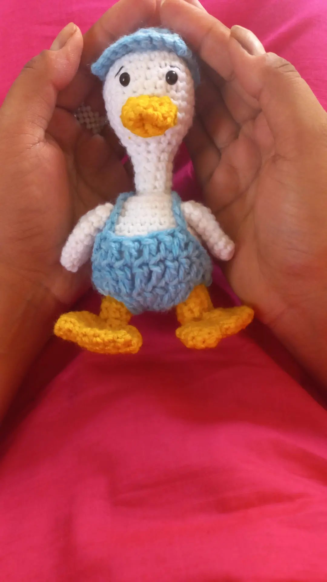 Newsboy duck