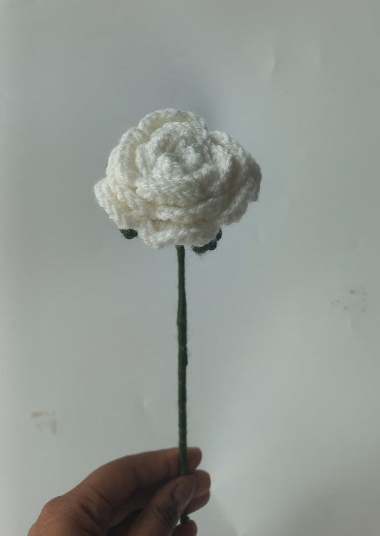 Offwhite rose stem
