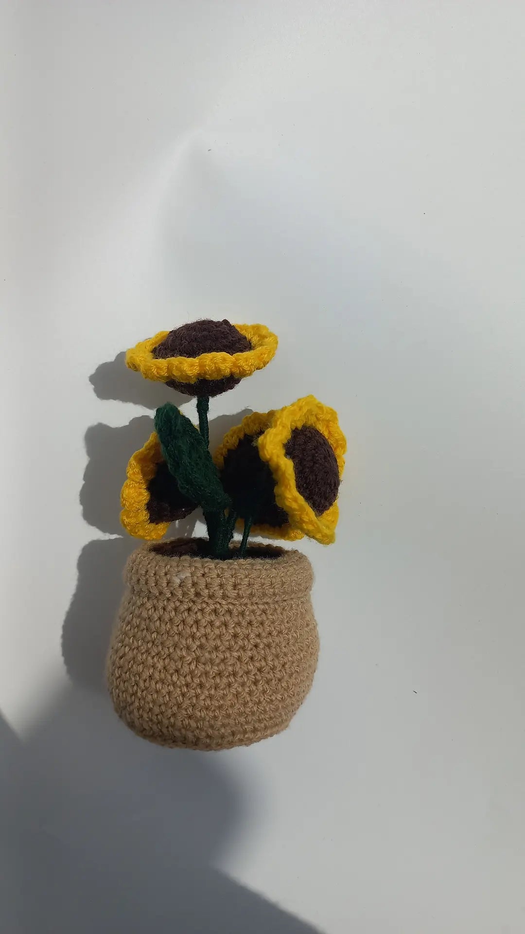 Sunflower pot