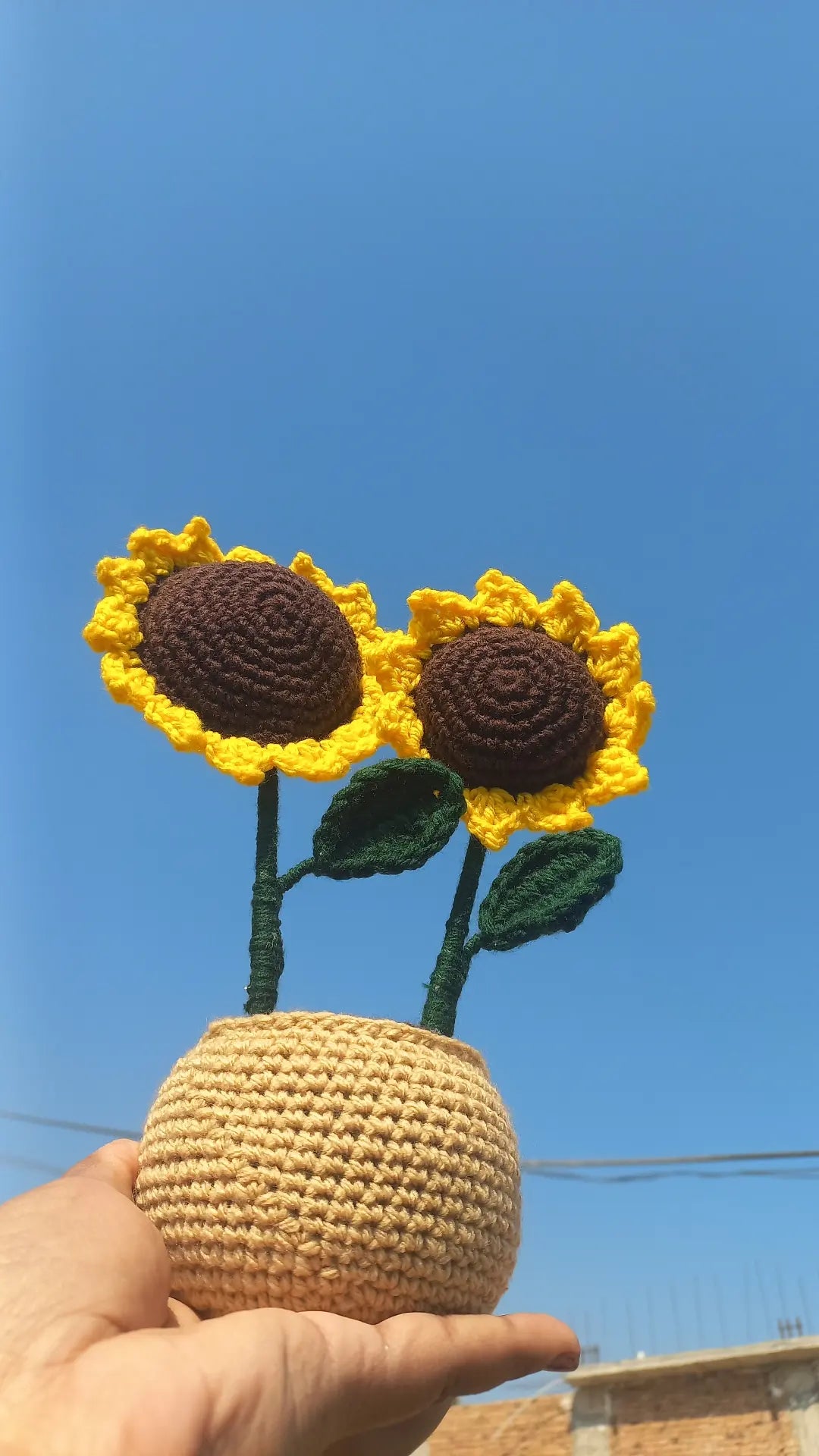 Sunflower pot