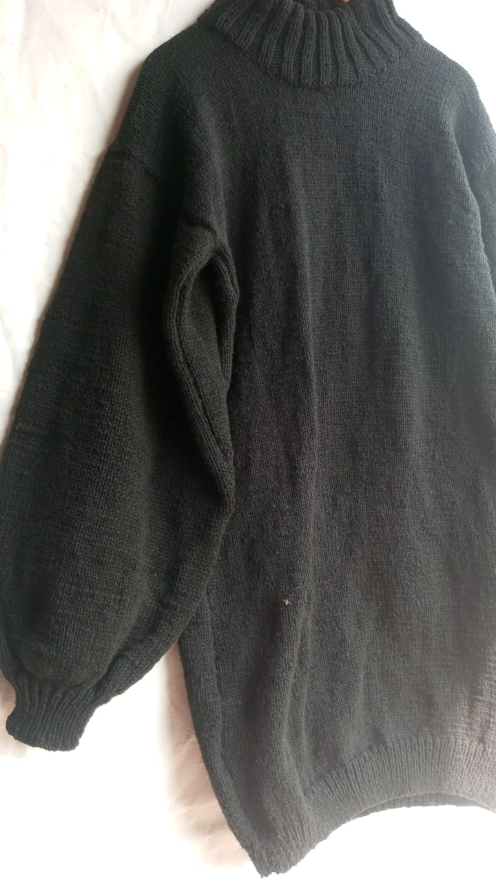 Basic Long Turtle Neck