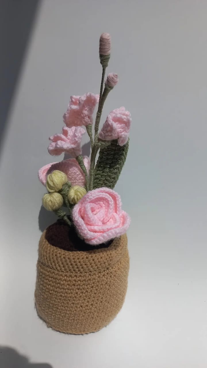 Blush Delight Pot