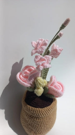 Blush Delight Pot