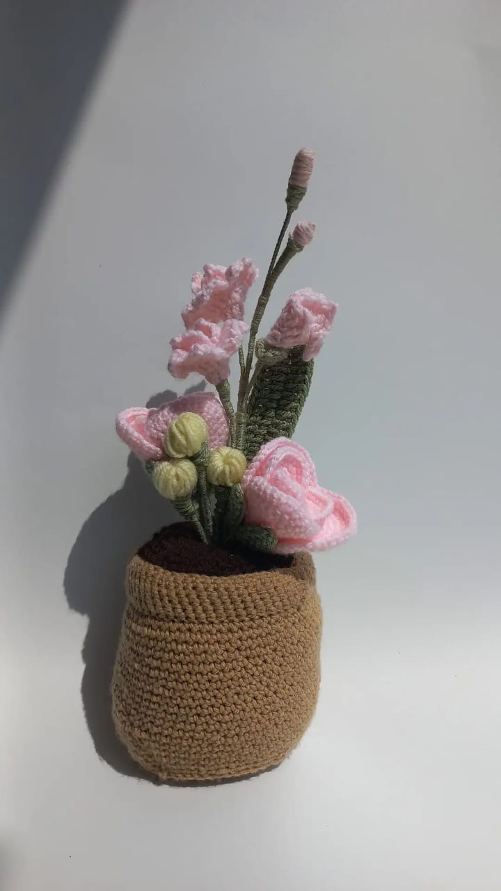 Blush Delight Pot