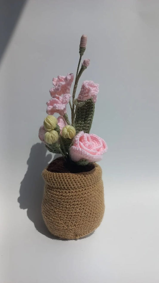 Blush Delight Pot