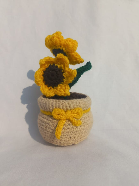 Skin Sunshine Pot