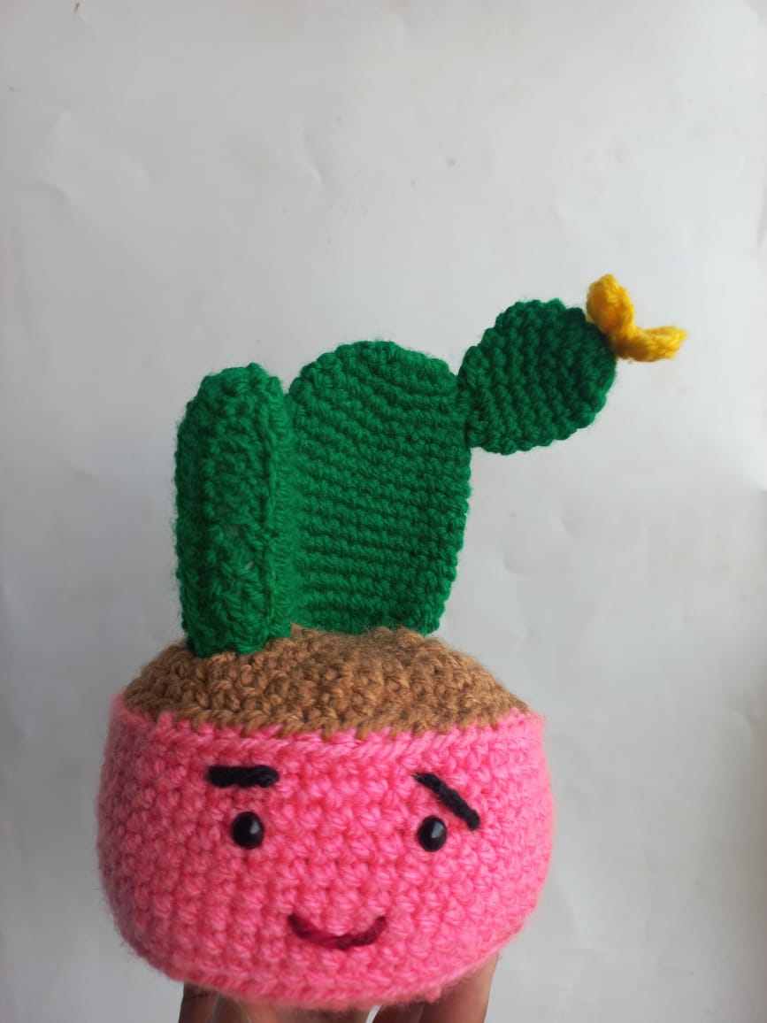 Succulent Pot