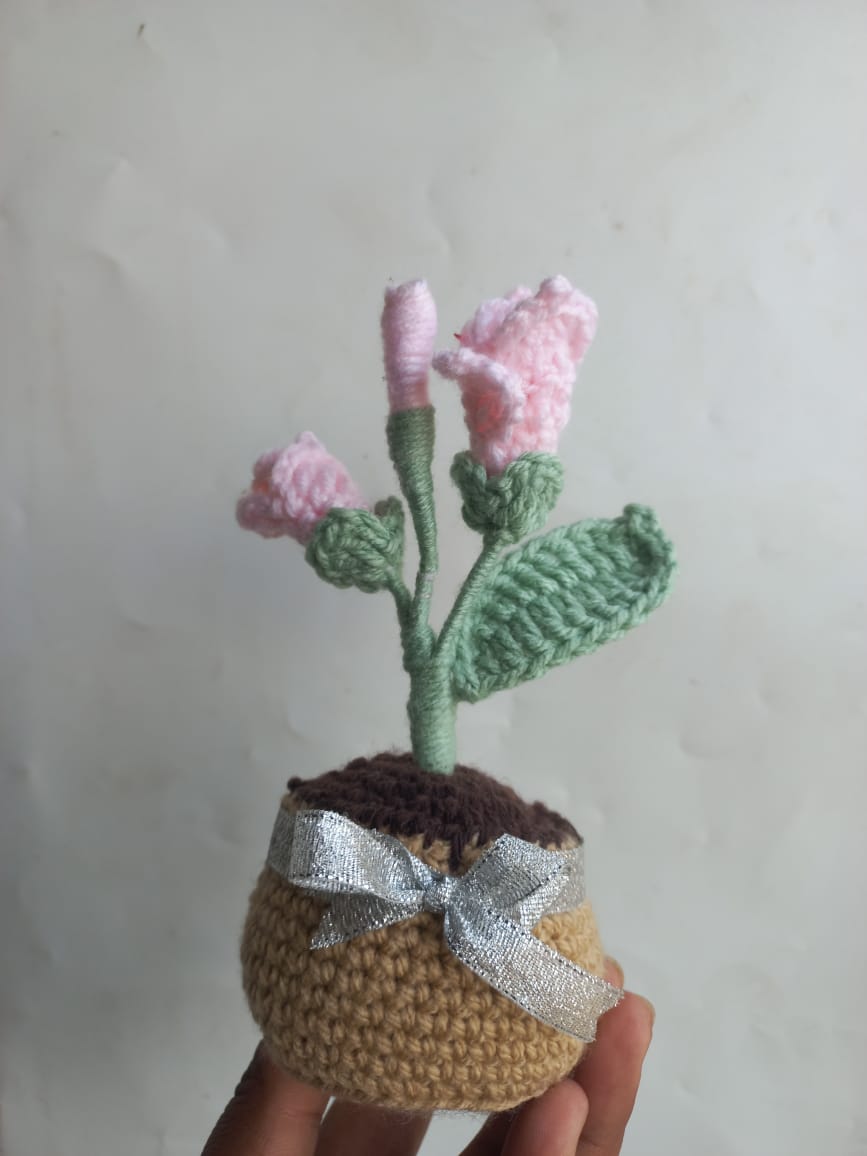 Blush Fressia Pot