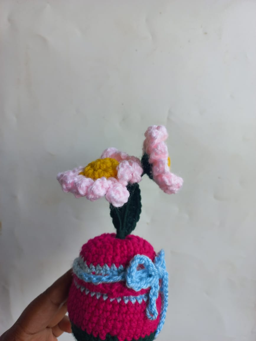 Blush Daisy Pot