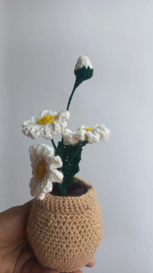 Crochet Daisy Pot