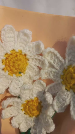 Daisy bouquet
